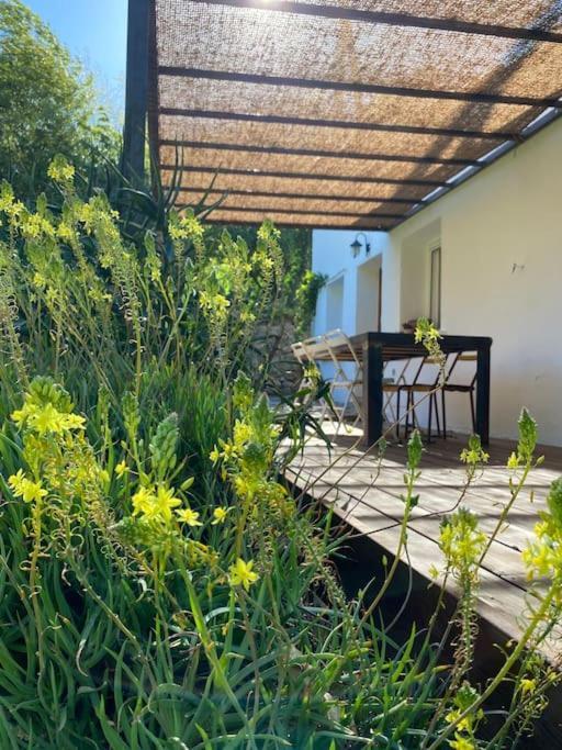 La Maison De Juliette Ceret Ngoại thất bức ảnh